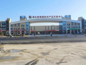 孝感首衡城智慧冷鏈物流A地塊、M地塊大門(mén)幕墻工程
